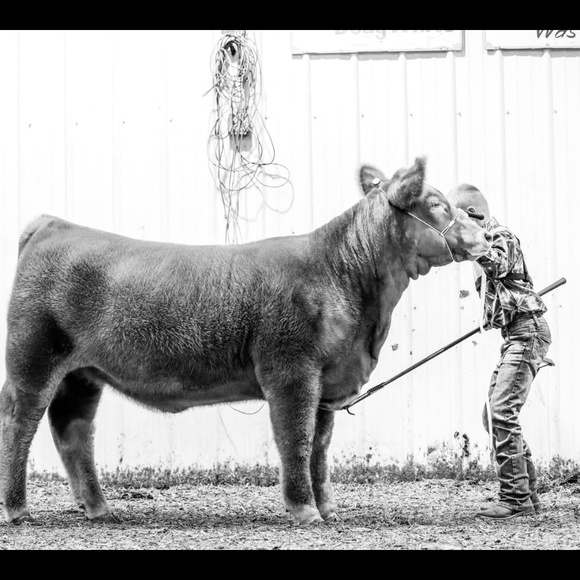 Meet your Posher, Lori - Picture 1 of 1